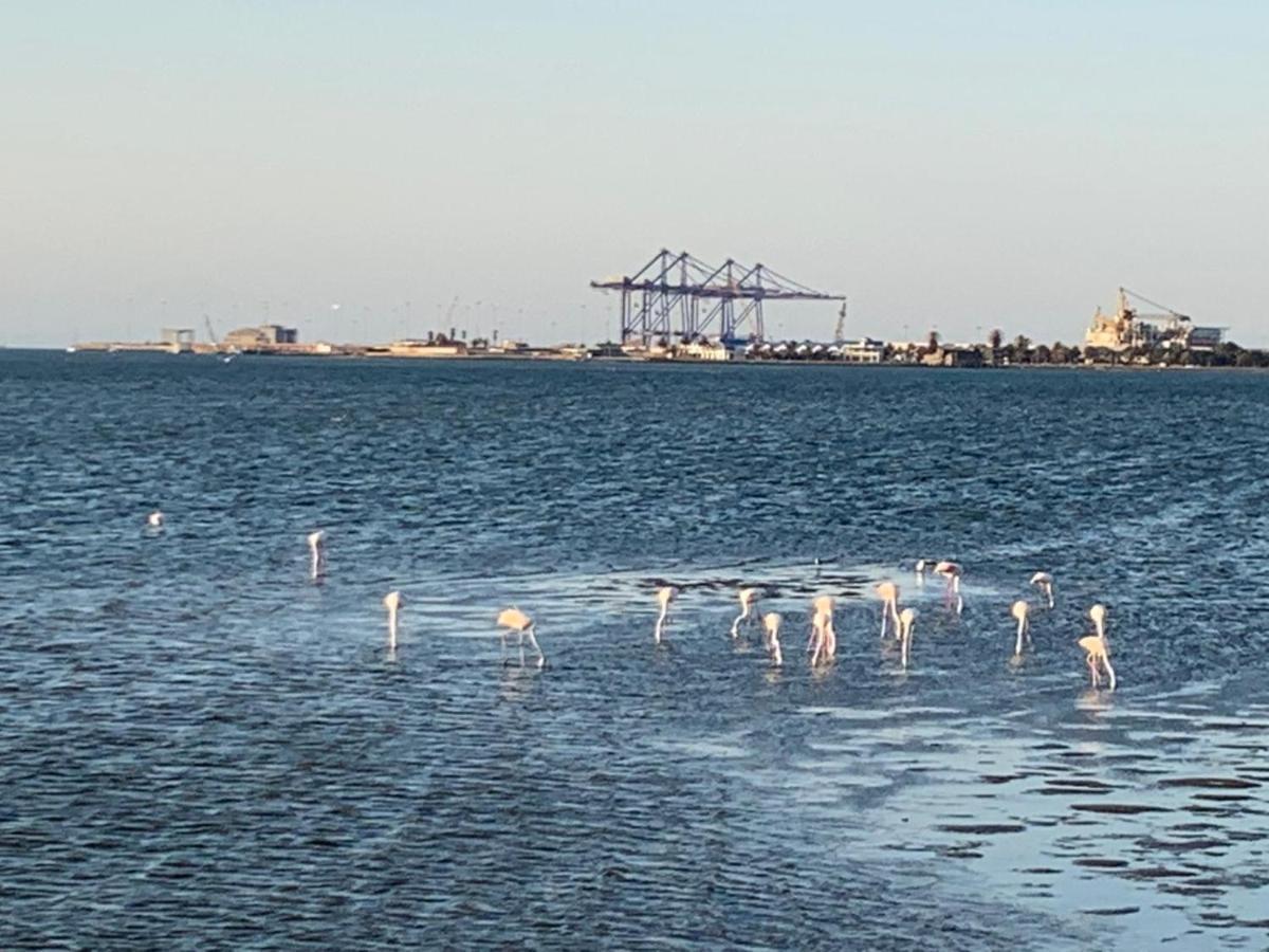 Mukulela Bed and Breakfast Walvis Bay Esterno foto